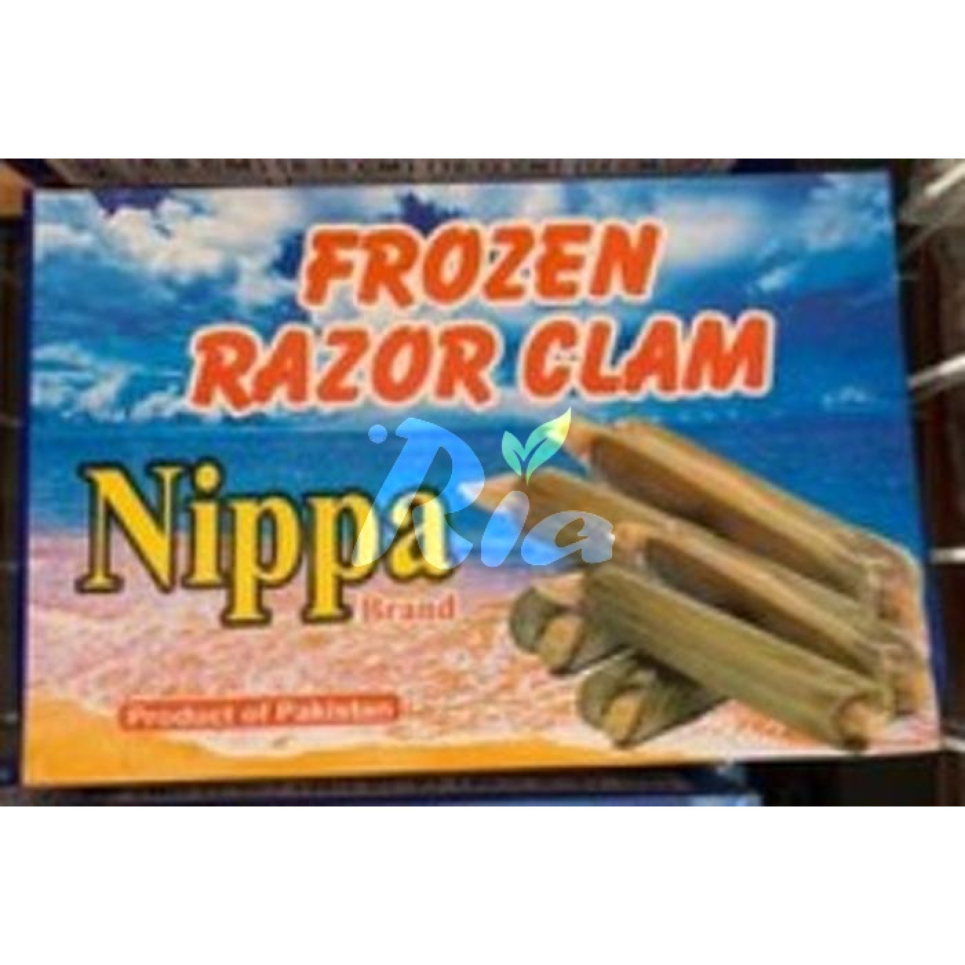 Nippa Frozen Razor Clam (8/10) 1KG