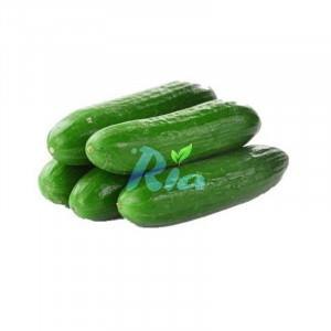Mini Cucumber 500g