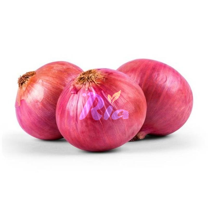 Big/Bombay Onion 500g (Bawang Besar)