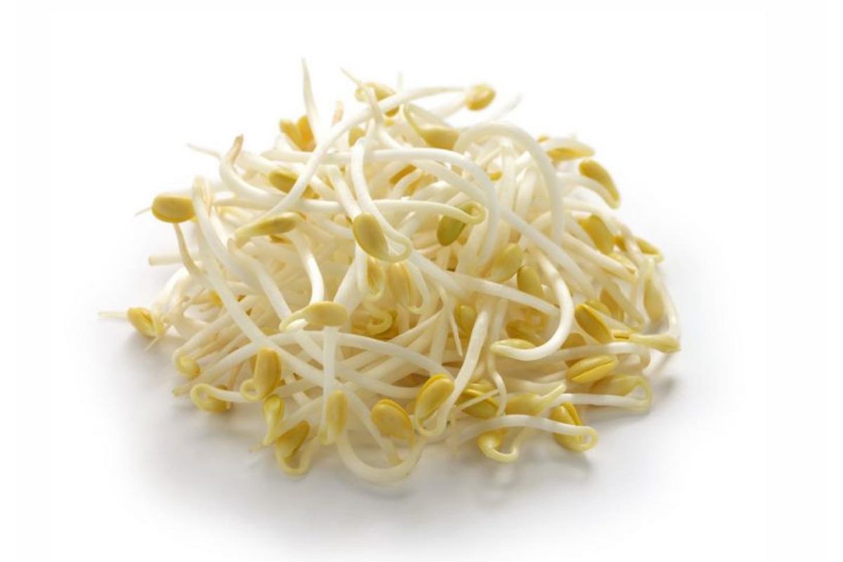 Mung Bean Sprouts 250g (Taugeh)