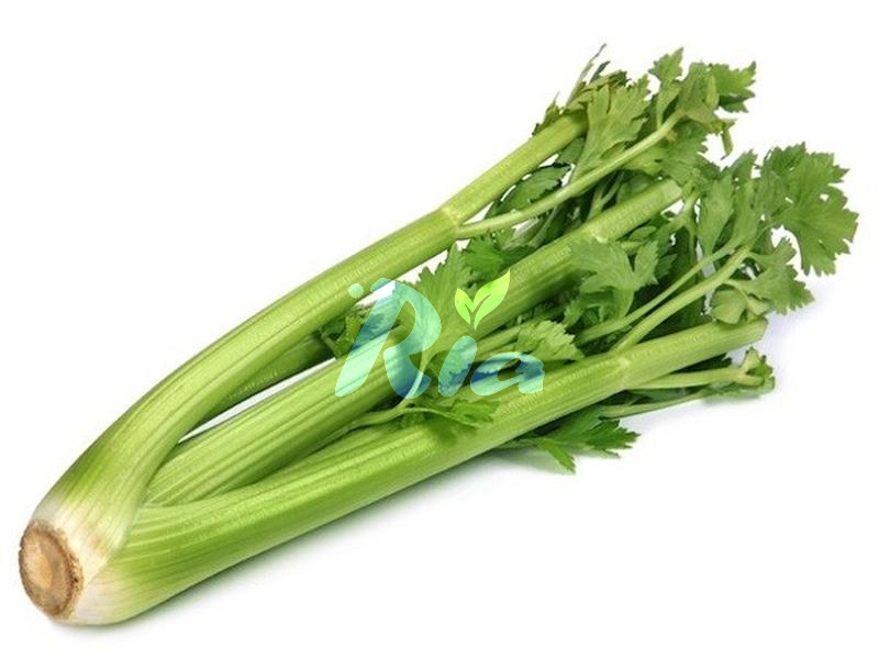 Celery 400g
