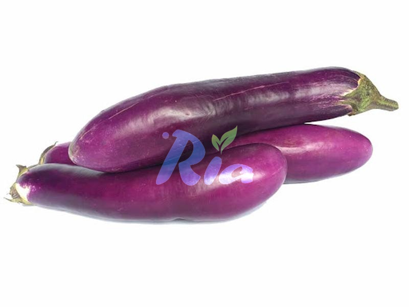Eggplant 350g (Terung Panjang)
