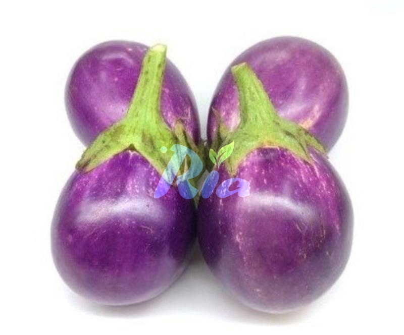 Round Eggplant 250g (Terung Bulat)