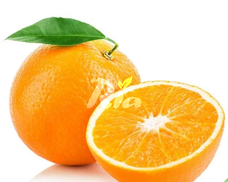 Navel Orange 72 (Pcs)