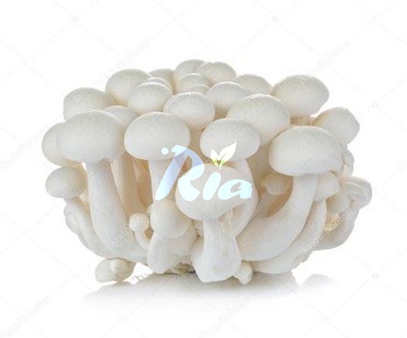 White Shimeji Mushroom 125G
