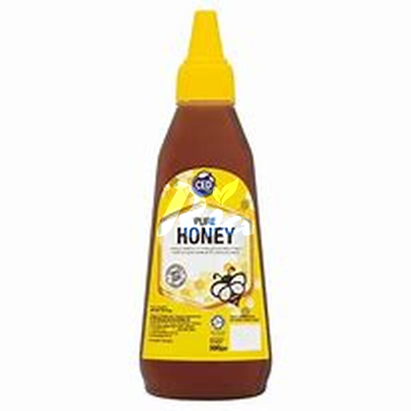 CED PURE HONEY SQUEESED 500G